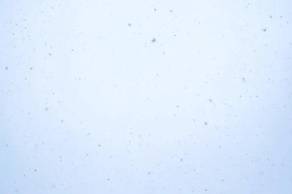 Cielo Invierno Con Nieve Cayendo — Foto de Stock