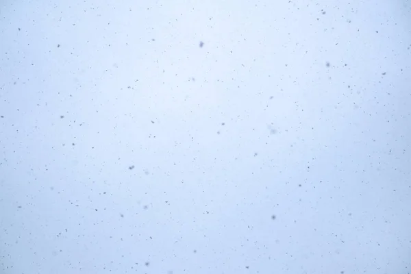 Cielo Invierno Con Nieve Cayendo — Foto de Stock