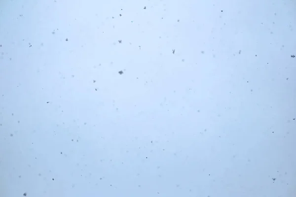 Winter Sky Falling Snow — Stock Photo, Image