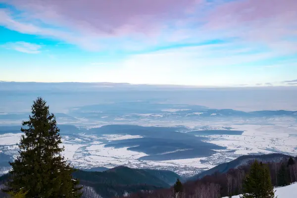 Invierno Las Montañas Cindrel Rumania Pico Magura 1304M — Foto de Stock