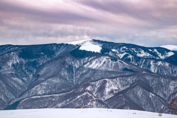 Invierno Las Montañas Cindrel Rumania Pico Magura 1304M — Foto de Stock