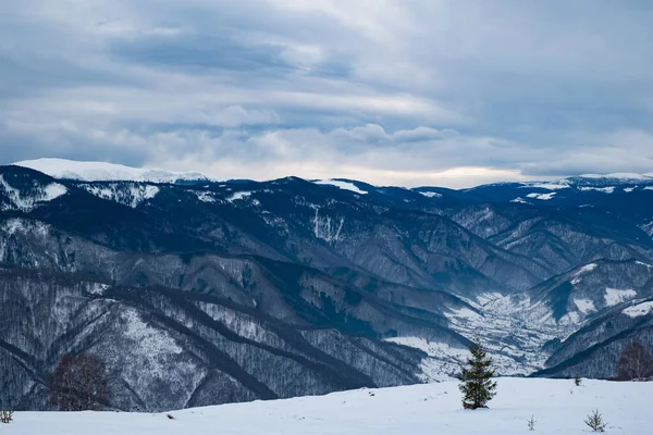 Inverno Cindrel Montagne Romania Magura Picco 1304M — Foto Stock