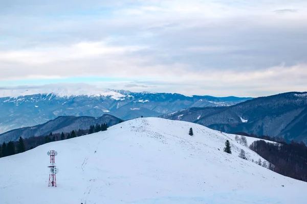 Invierno Las Montañas Cindrel Rumania Pico Magura 1304M — Foto de Stock