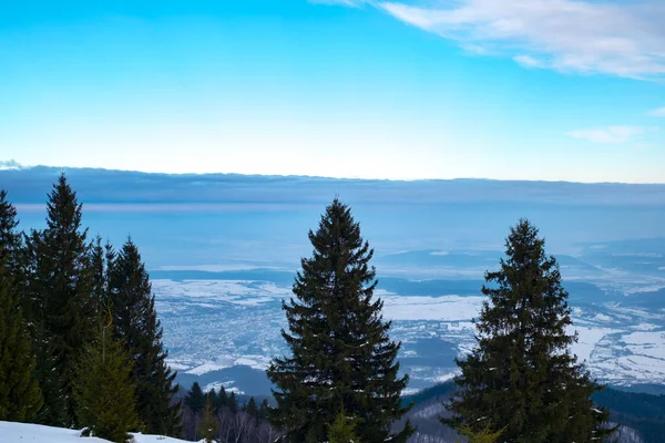 Invierno Las Montañas Cindrel Rumania Pico Magura 1304M — Foto de Stock