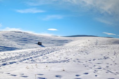 Dağların üzerinden karla, Cindrel dağlarıyla, Paltinilerle, Romanya