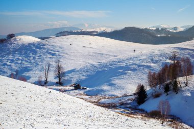 Dağların üzerinden karla, Cindrel dağlarıyla, Paltinilerle, Romanya