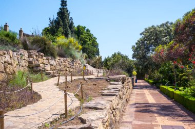 İspanya 'nın Malaga şehrinde kaldırımlı sokak ve kaktüsleri olan şehir parkı