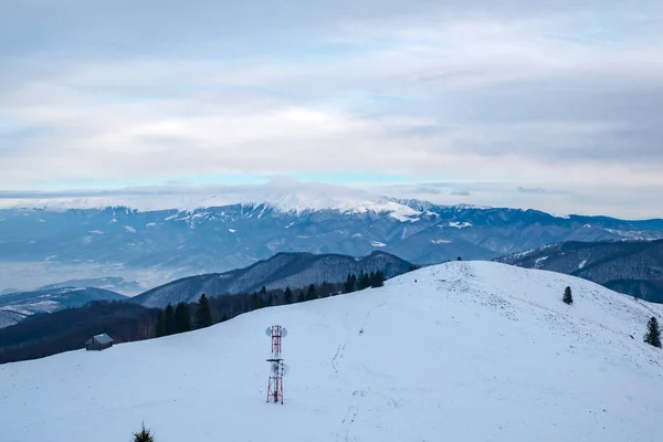 Invierno Las Montañas Cindrel Rumania Pico Magura 1304M — Foto de Stock