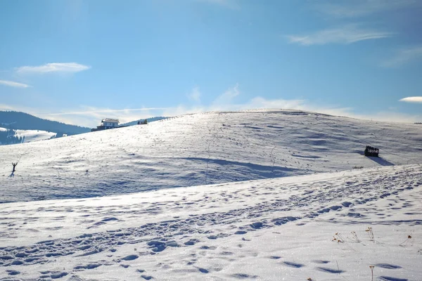 Sole Sulle Montagne Con Neve Montagne Cindrel Paltinis Romania — Foto Stock