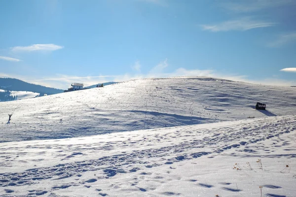 Sun Mountains Snow Cindrel Mountains Paltinis Romania — Stock Photo, Image