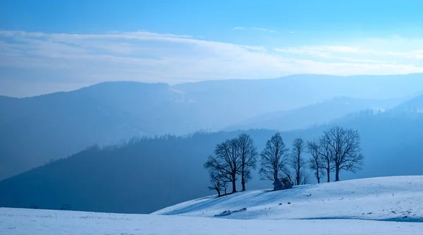 Sol Sobre Las Montañas Con Nieve Montañas Cindrel Paltinis Rumania — Foto de Stock