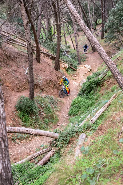 Málaga España Enero 2018 Grupo Ciclistas Través Del Bosque Cerca —  Fotos de Stock