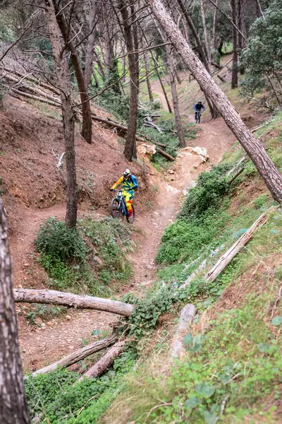 Málaga Spanien Januar 2018 Eine Gruppe Von Radfahrern Durch Den — Stockfoto