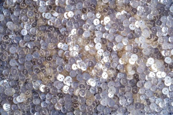 Viele Perlweiße Plastikknöpfe — Stockfoto