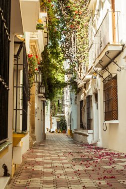 Marbella, İspanya - 26 Ağustos 2018. Marbella, Costa del Sol, Endülüs, İspanya ve Avrupa 'da tipik bir İspanyol mimarisi.