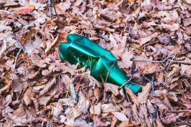 Sonbahar ormanında bırakılmış kirli bir plastik şişe. Çevrede plastik atık var. Sonbahar sezonu. Ormanda plastik şişe çöpü.