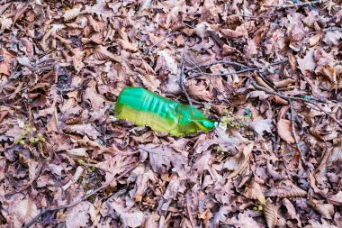 Sonbahar ormanında bırakılmış kirli bir plastik şişe. Çevrede plastik atık var. Sonbahar sezonu. Ormanda plastik şişe çöpü.
