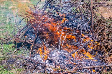 Bahçe dallarının yanması sırasında çıkan ateş ve duman