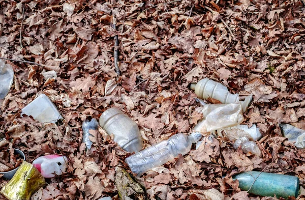 Een Vuile Plastic Glazen Fles Achtergelaten Het Herfstbos Kunststof Afval — Stockfoto