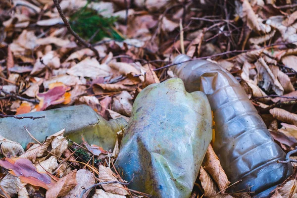 Une Bouteille Plastique Sale Laissée Dans Forêt Automne Déchets Plastiques — Photo