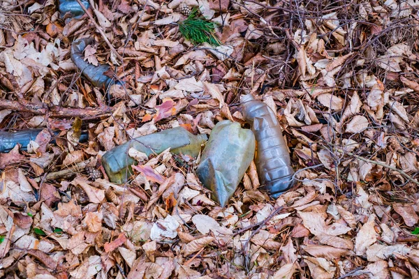 Una Botella Plástico Sucia Dejada Bosque Otoño Residuos Plásticos Medio —  Fotos de Stock