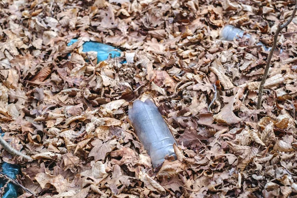 Una Botella Plástico Sucia Dejada Bosque Otoño Residuos Plásticos Medio — Foto de Stock