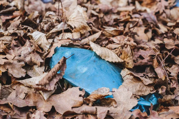 Egy Koszos Műanyag Palack Maradt Őszi Erdőben Műanyag Hulladék Környezetben — Stock Fotó