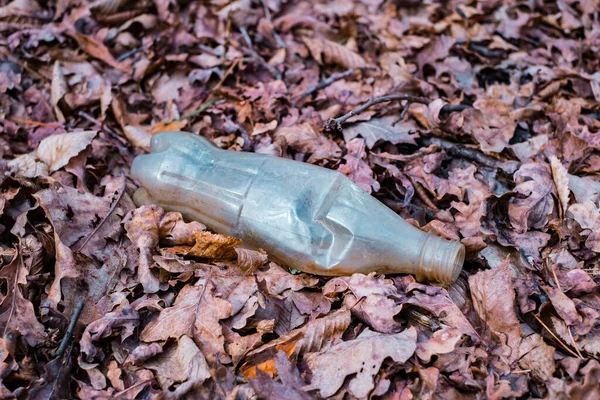 Egy Koszos Műanyag Palack Maradt Őszi Erdőben Műanyag Hulladék Környezetben — Stock Fotó