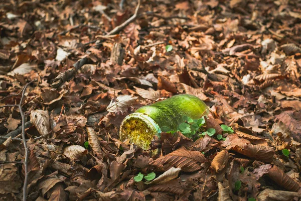 Száraz Üveg Cseppek Száraz Levelek Erdőben Szennyező Természet — Stock Fotó