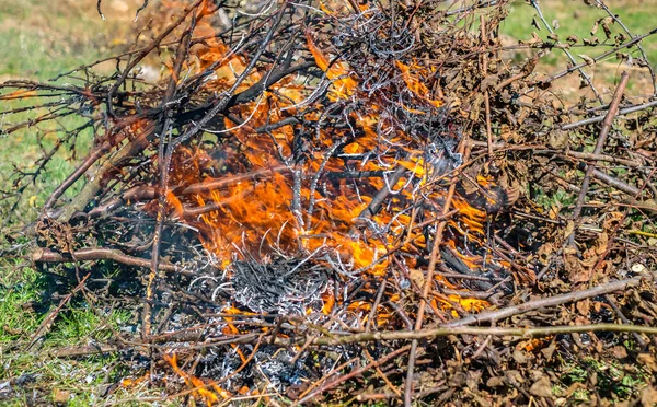 庭の枝の燃焼中の火災や煙 — ストック写真