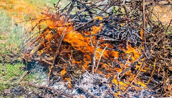 庭の枝の燃焼中の火災や煙 — ストック写真