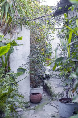 Atina, Yunanistan - 18 Şubat 2020. Atina 'nın geleneksel bir mahallesi olan Plaka' nın dar sokaklarından Akropolis, Yunanistan 'ın yamaçlarında yer alan mimari ayrıntılar