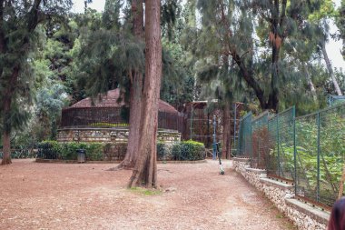 Atina, Yunanistan - 14 Şubat 2020: Ulusal Bahçe, Atina 'da halka açık bir park.