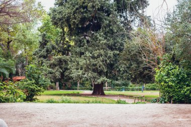 Atina, Yunanistan - 14 Şubat 2020: Ulusal Bahçe, Atina 'da halka açık bir park.