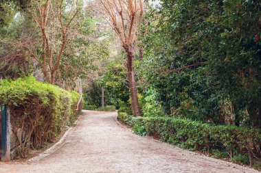 Atina, Yunanistan - 14 Şubat 2020: Ulusal Bahçe, Atina 'da halka açık bir park.
