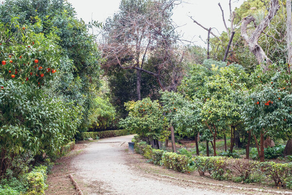 Athens, Greece - February 14 2020:. The National Garden is a public park in Athens city