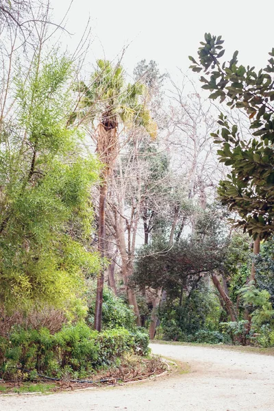 Atenas Grecia Febrero 2020 Jardín Nacional Parque Público Ciudad Atenas —  Fotos de Stock