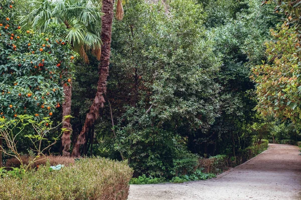 Atene Grecia Febbraio 2020 Giardino Nazionale Parco Pubblico Della Città — Foto Stock