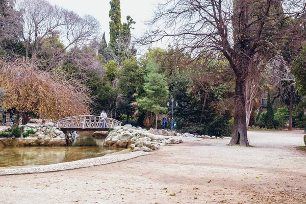 Atene Grecia Febbraio 2020 Giardino Nazionale Parco Pubblico Della Città — Foto Stock