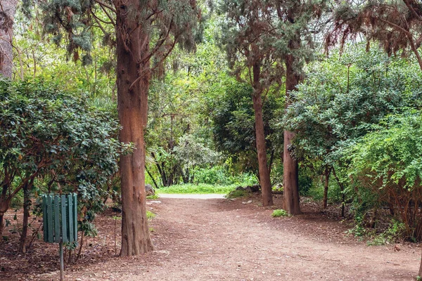 Athen Griechenland Februar 2020 Der Nationalgarten Ist Ein Öffentlicher Park — Stockfoto