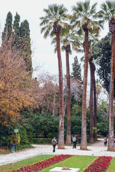 Athens Greece February 2020 National Garden Public Park Athens City — Stock Photo, Image