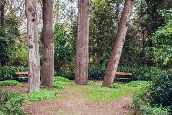 Αθήνα Φεβρουαρίου 2020 Εθνικός Κήπος Είναι Ένα Δημόσιο Πάρκο Στην — Φωτογραφία Αρχείου