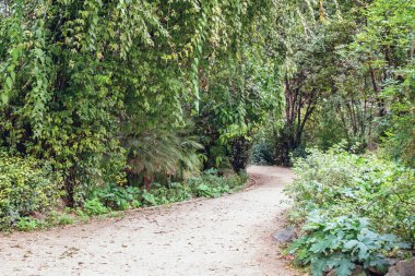 Atina, Yunanistan - 14 Şubat 2020: Ulusal Bahçe, Atina 'da halka açık bir park.