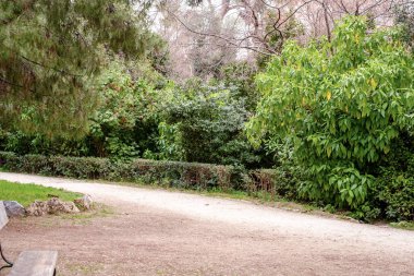 Atina, Yunanistan - 14 Şubat 2020: Ulusal Bahçe, Atina 'da halka açık bir park.