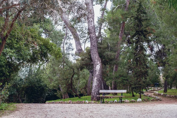 Athen Griechenland Februar 2020 Der Nationalgarten Ist Ein Öffentlicher Park — Stockfoto