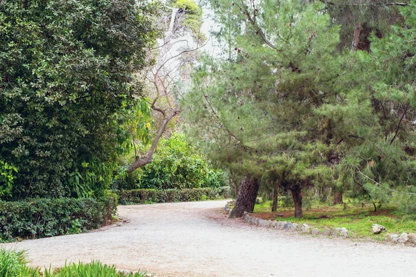 Atene Grecia Febbraio 2020 Giardino Nazionale Parco Pubblico Della Città — Foto Stock