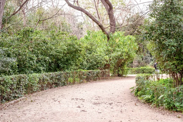 Atenas Grecia Febrero 2020 Jardín Nacional Parque Público Ciudad Atenas —  Fotos de Stock