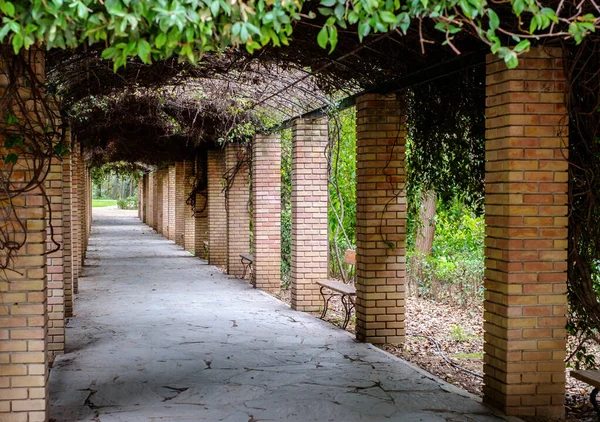 Athen Griechenland Februar 2020 Der Nationalgarten Ist Ein Öffentlicher Park — Stockfoto