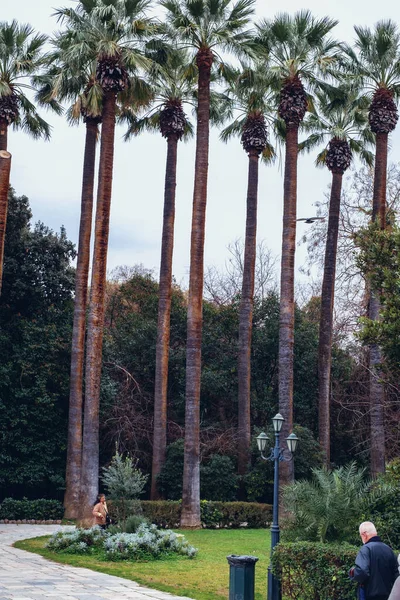 Athens Greece February 2020 National Garden Public Park Athens City — Stock Photo, Image