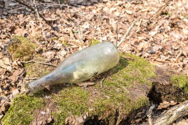 Sonbahar ormanına bırakılmış kirli bir plastik ve cam şişe. Çevrede plastik atık.